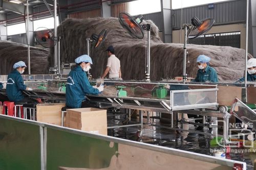 Quà quê không chỉ ở quê
