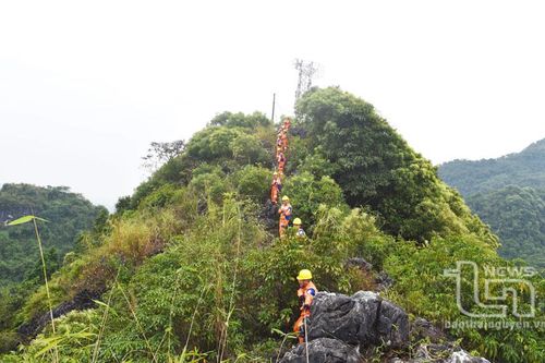 Xuân về trong ánh điện 'reo'