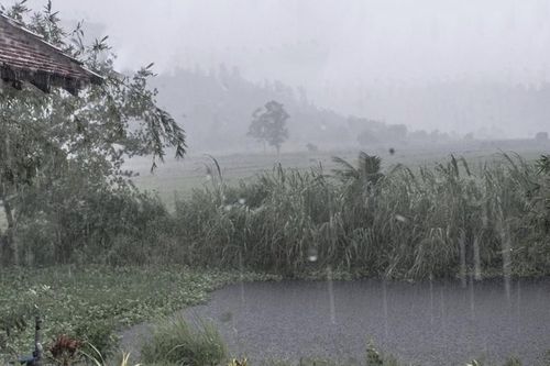 Mưa tháng Chạp