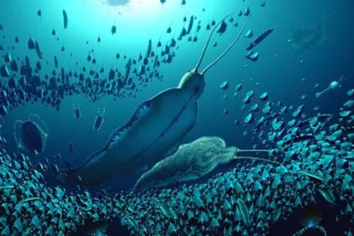 Phát hiện mới về loài giun 'quái vật khổng lồ' có niên đại hơn nửa tỉ năm