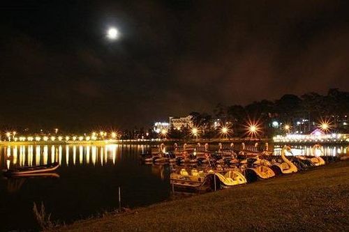 Đà Lạt là điểm đến được tìm kiếm nhiều nhất dịp Tết Giáp Thìn