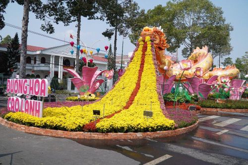 Đường hoa Xuân trên Đất Sen hồng Đồng Tháp có gì đặc biệt?