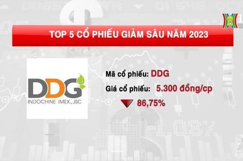 5 cổ phiếu giảm sâu nhất năm 2023