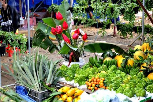 Rộn rã chợ phiên vùng cao ngày Tết
