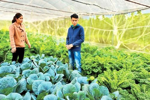 Khởi nghiệp dệt nên những mùa xuân