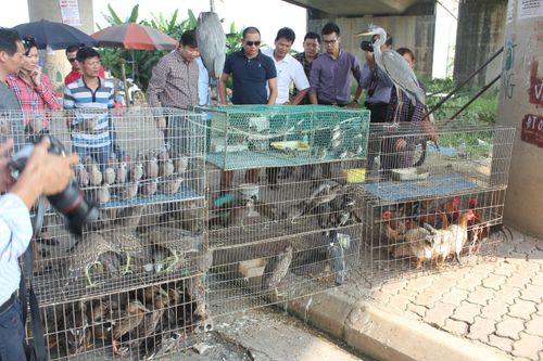 Ăn thịt thú rừng ngày Tết để thể hiện 'đẳng cấp', nguy cơ rước bệnh vào người
