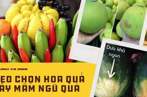 11 loại quả thường bày mâm ngũ quả, khéo chọn như này kiểu gì các nàng dâu cũng ghi điểm trong mắt mẹ chồng