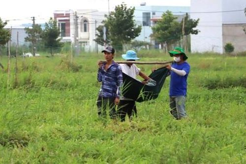 Tuyệt chiêu vận chuyển dưa hấu Tết bằng võng