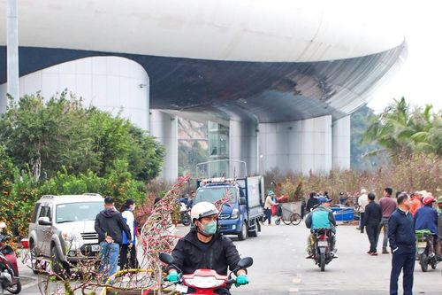 Làm thêm tại chợ hoa ngày Tết, thu nhập tiền triệu mỗi ngày