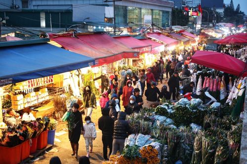 Bên trong chợ hoa Quảng An ngày tất niên