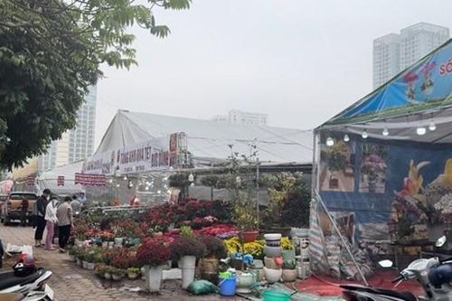 Công an Thành phố vào cuộc vụ thu phí 'lốt' bán cây cảnh Tết