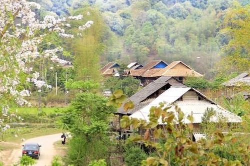 Người săn 'sói trắng' vùng biên
