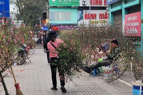 Khẩn trương làm rõ việc tự xưng công an để thu phí 'lốt' bán cây cảnh tết