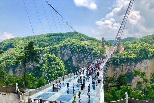 Thót tim đi qua cầu kính cao 300 mét nối hai đỉnh núi