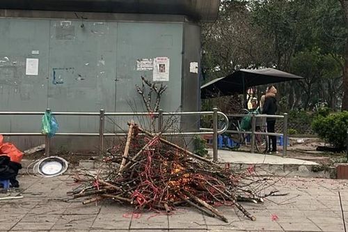 Buôn bán ế ẩm, tiểu thương biến đào thành củi khô đốt lửa