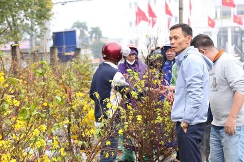 Tiểu thương treo biển 'xả hàng' đại hạ giá mai, đào, quất chiều 30 Tết