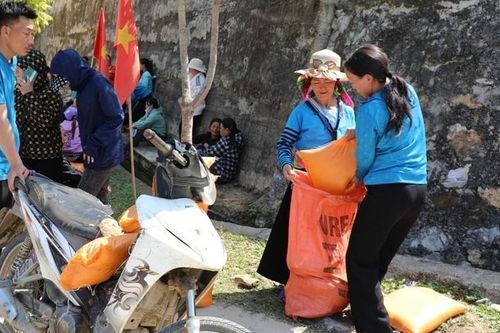 Cấp phát gạo cho người bảo vệ, trồng rừng
