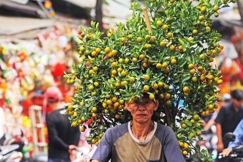 Tất bật chở Tết về nhà ngày cuối năm