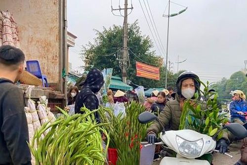 Xếp hàng dài mua hoa 'xả hàng' tại chợ đầu mối lớn nhất Thanh Hóa