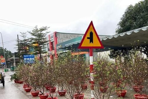 Ngày 30 Tết, đào quất vẫn ngập tràn, tiểu thương lo lỗ vốn