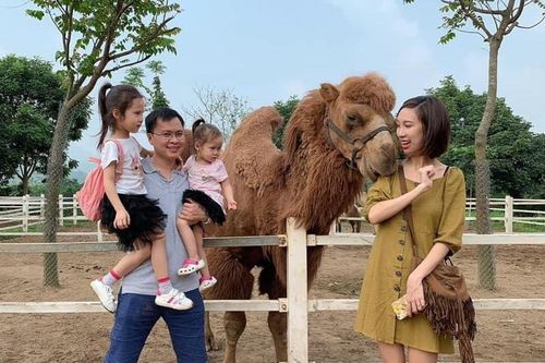 Mệt mỏi cơm nước mấy ngày Tết, mẹ chồng truyền thống quyết cả nhà đi du lịch