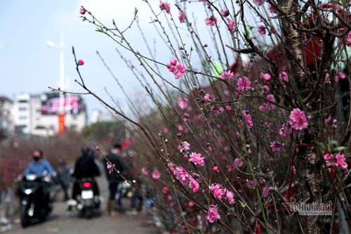 Văn khấn giao thừa ngoài trời đón năm mới Giáp Thìn 2024