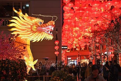 Náo nức không khí đón Tết Nguyên đán Giáp Thìn 2024