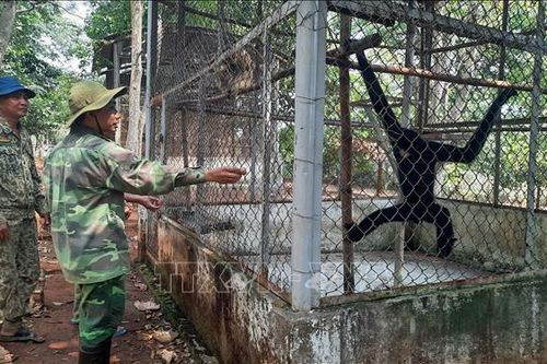 Vườn Quốc gia Bù Gia Mập - Lan tỏa hành động cứu hộ động vật hoang dã