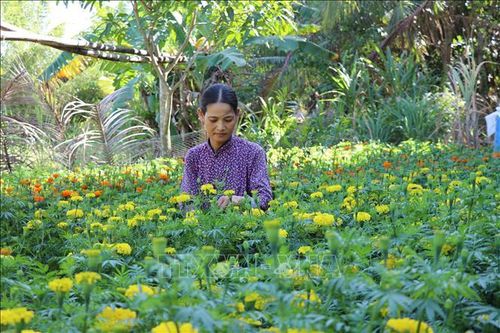Vùng đất khó 'chuyển mình' trong Xuân mới