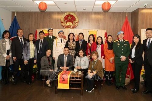 Gặp mặt thân mật, chúc Tết các chuyên gia Việt Nam làm việc cho LHQ