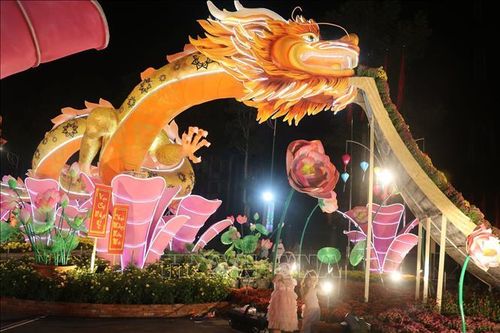 Không khí chuẩn bị đón giao thừa trên 'Đất Sen Hồng'