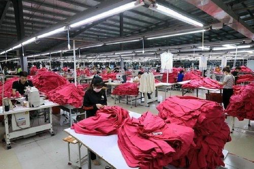 Năm 2024, phấn đấu số doanh nghiệp gia nhập thị trường tăng ít nhất 10%