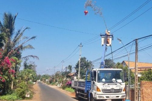 Nguy hiểm khôn lường khi dựng cây nêu vi phạm an toàn lưới điện