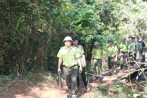 Chuyện về những người lính gác rừng xuyên Tết