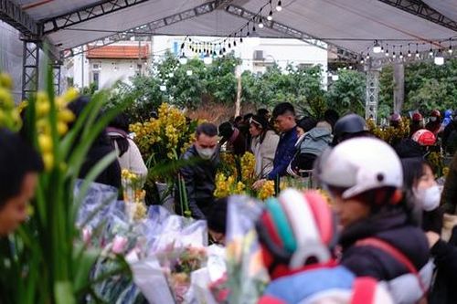 Tiểu thương hạ giá sốc để thu hồi vốn, người dân chen chân đi mua cây cảnh giá rẻ chiều 30 Tết