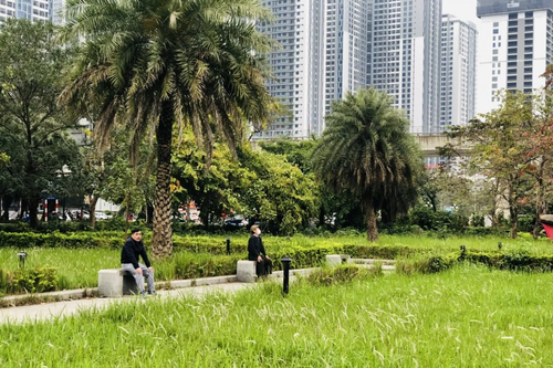 Chiều cuối năm: Hà Nội bình yên mà sâu lắng