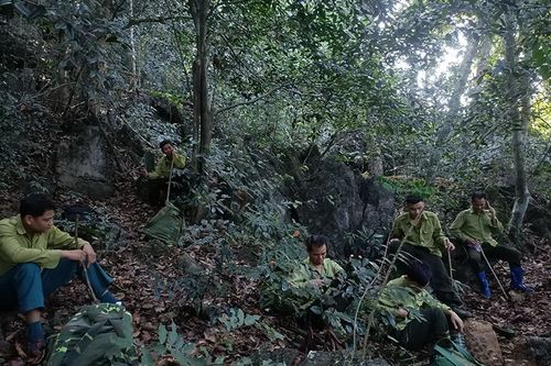 Bảo tồn đa dạng sinh học tại Khu Bảo tồn thiên nhiên Pù Luông
