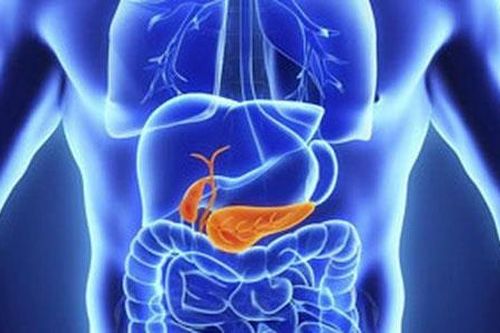 Bác sĩ trả lời: Phát hiện bị viêm tụy cấp sau khi dự đám tiệc, bây giờ phải làm sao?