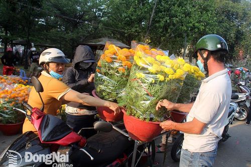 Hoa Tết 'xả hàng' ngày cuối năm