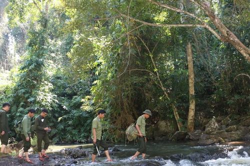 Trắng đêm canh giữ rừng ngày Tết