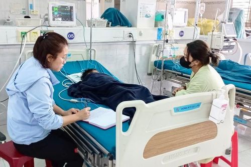 Gia Lai: Ăn thịt cóc, 2 mẹ con nhập viện cấp cứu