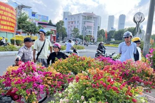 Hoa Tết xả hàng vẫn ế