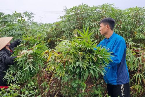 Món ăn ngon miệng ngày Tết