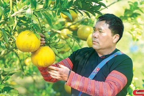 Những mô hình nông nghiệp ứng dụng công nghệ cao nơi cửa ngõ của tỉnh