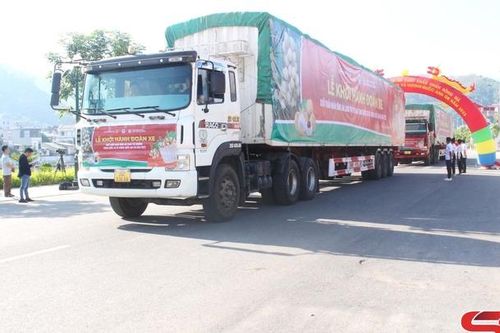 Nông sản Sơn La tham gia chuỗi giá trị toàn cầu