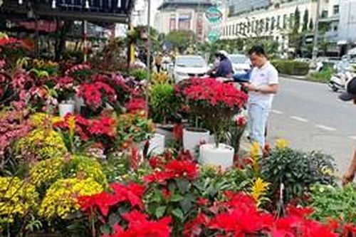 Sinh viên làm thêm ngày tết