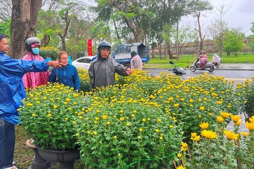 Hoa tết – một góc nhìn