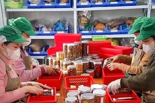 Hợp tác xã rộn rã vào xuân