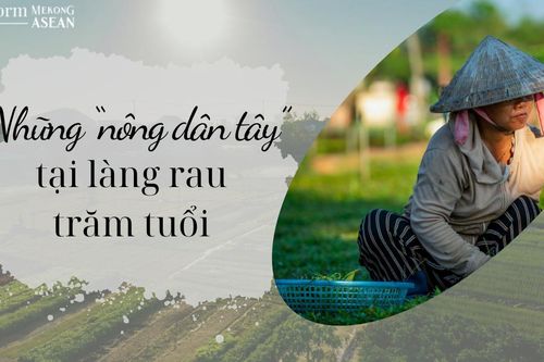 Những 'nông dân tây' tại làng rau trăm tuổi