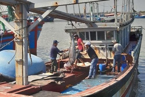 Hàng trăm ngư dân Phú Yên vươn khơi bám biển xuyên Tết Nguyên đán